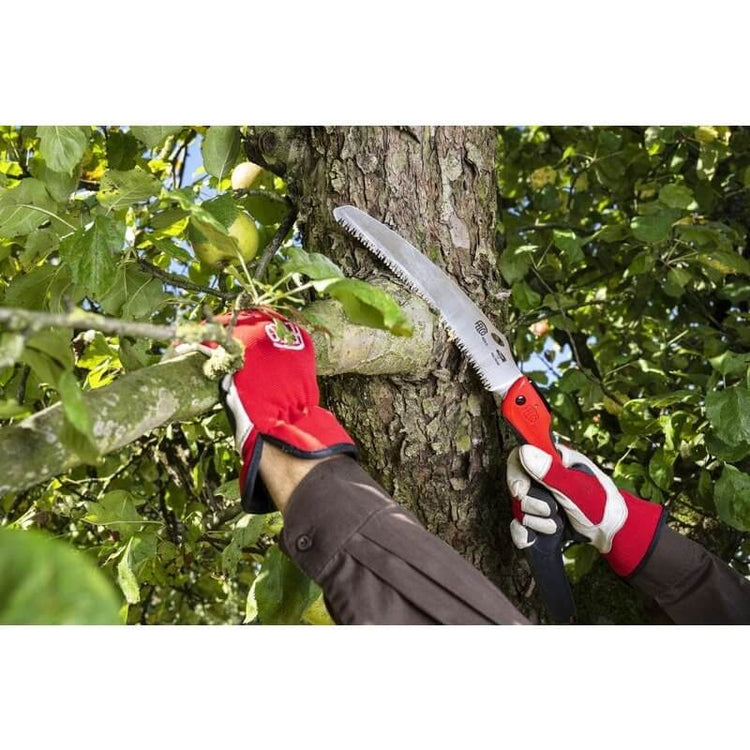 A gardener using a tree pull saw with red gloves to prune a branch from a tree.