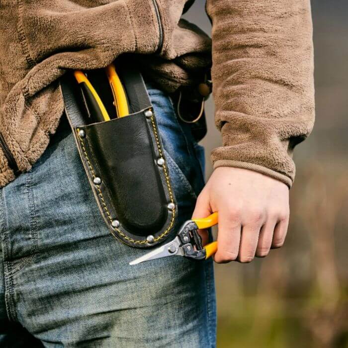 Gardener with pruning tools in a premium leather holster, ensuring convenience and accessibility during gardening tasks.