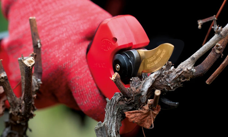 Electric Pruners