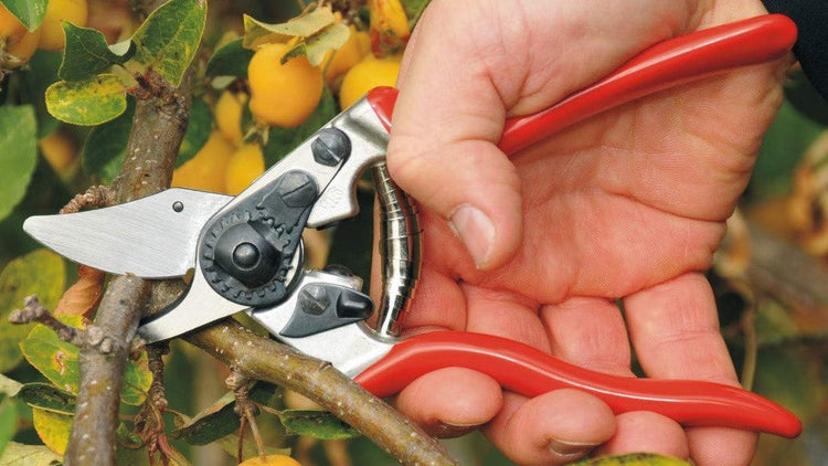 Hand Pruners