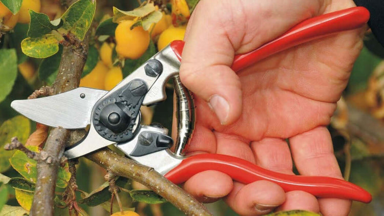 Hand pruners cutting a branch, ideal for gardeners and landscapers to maintain healthy plants.