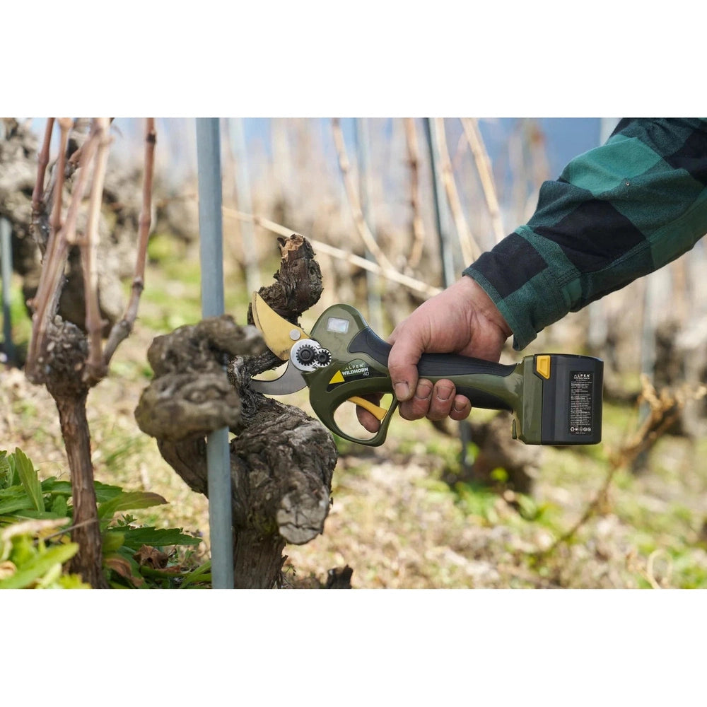 A person using Alpen Electric Pruning Shear Wildhorn A-40 for efficient pruning in a vineyard, showcasing its powerful design.