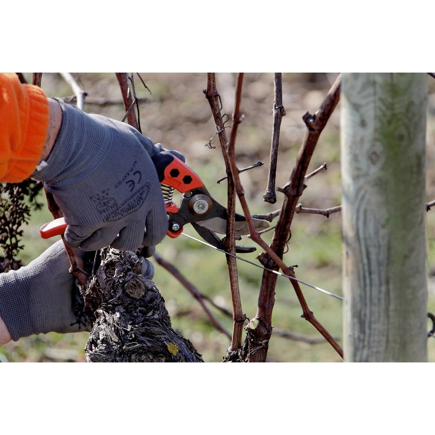 Bahco Professional ER GO Pruner PX-M3
