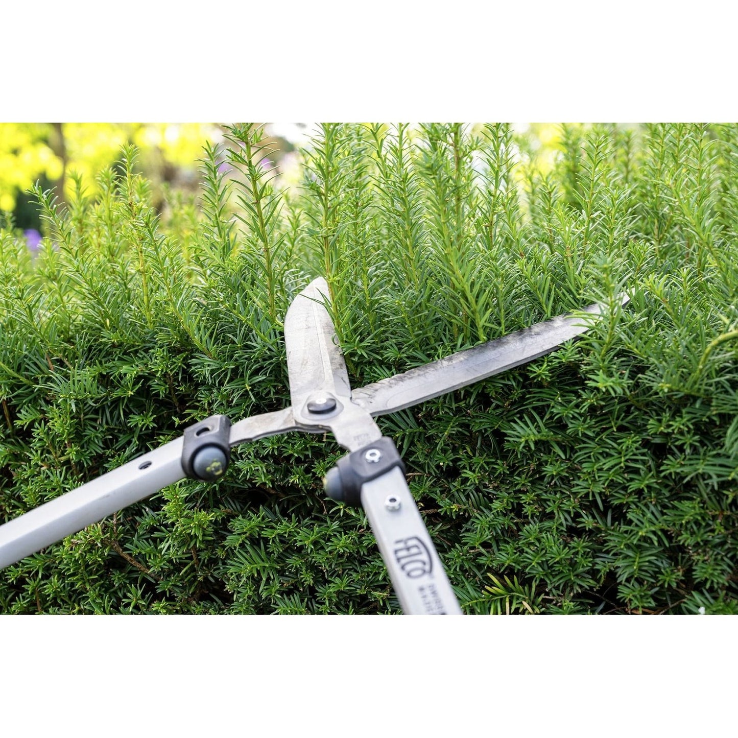 FELCO 250-57 Hedge shears - 22.4 in