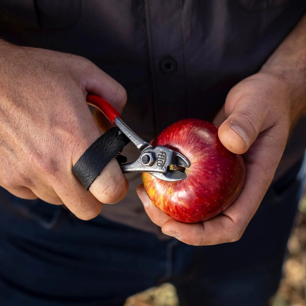 Man using Felco 330 fruit clipper on a red apple, showcasing ergonomic design and precision cutting.