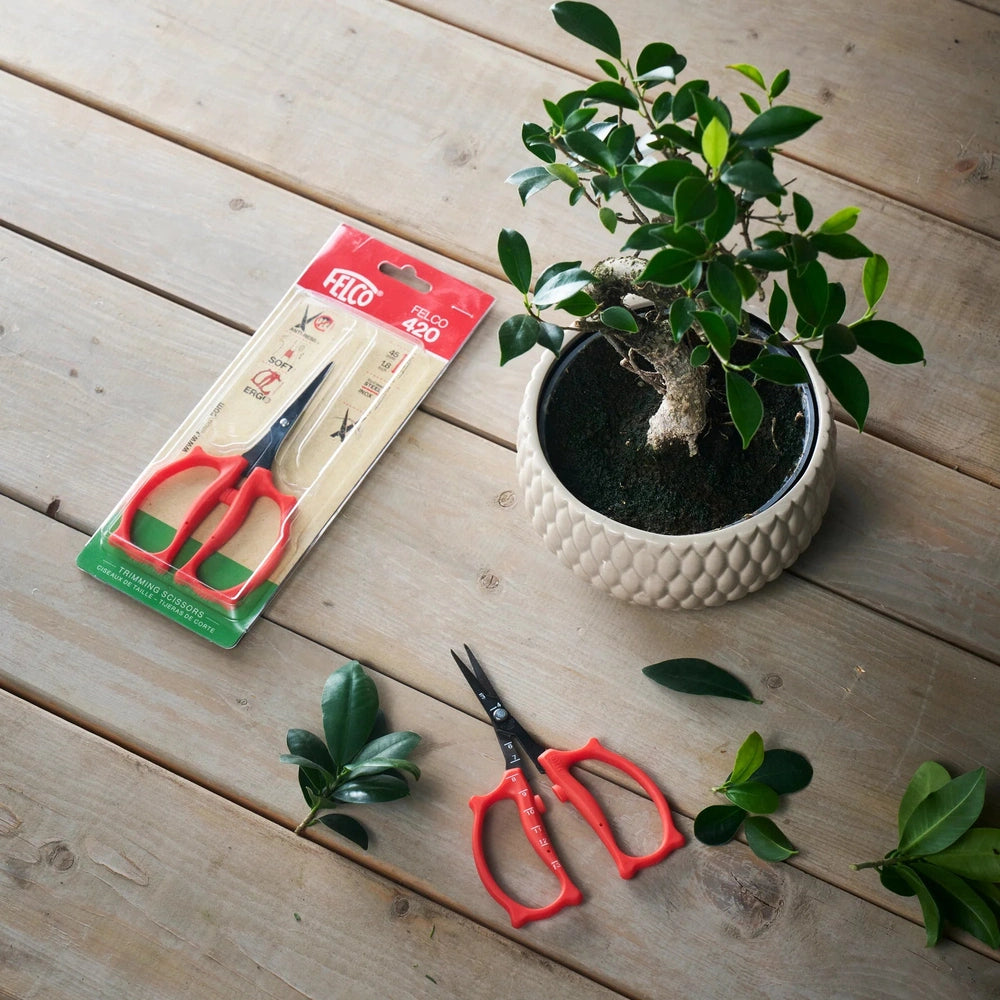 Felco 420 Precision Trimming Scissors F-420 on a wooden table with a potted plant and green leaves.