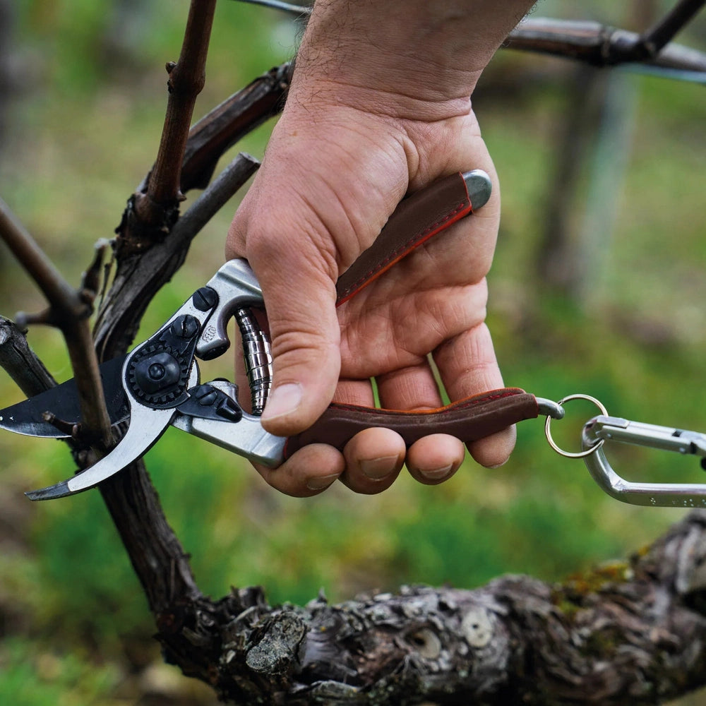 Hand holding Felco 8 Elite pruning shears for ergonomic and efficient gardening.