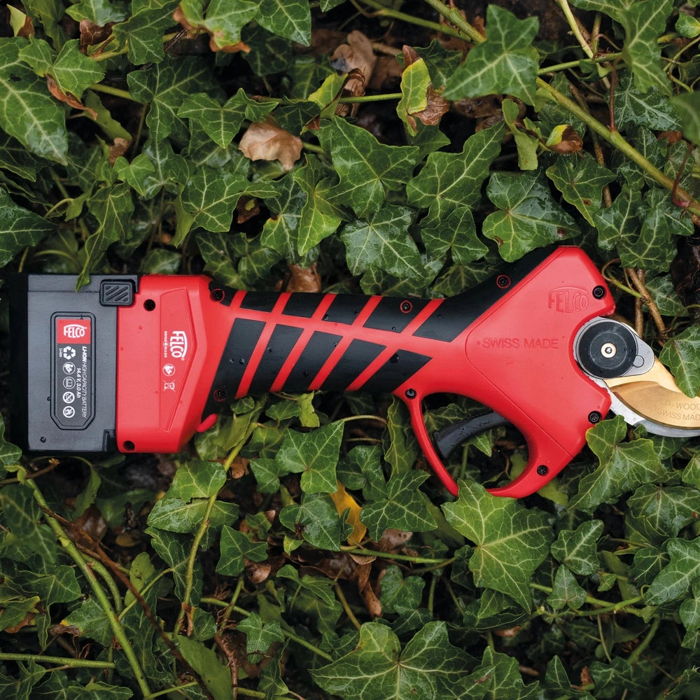 Felco 834W precise wood cutting tool on ivy leaves, featuring interchangeable batteries for efficiency and durability.