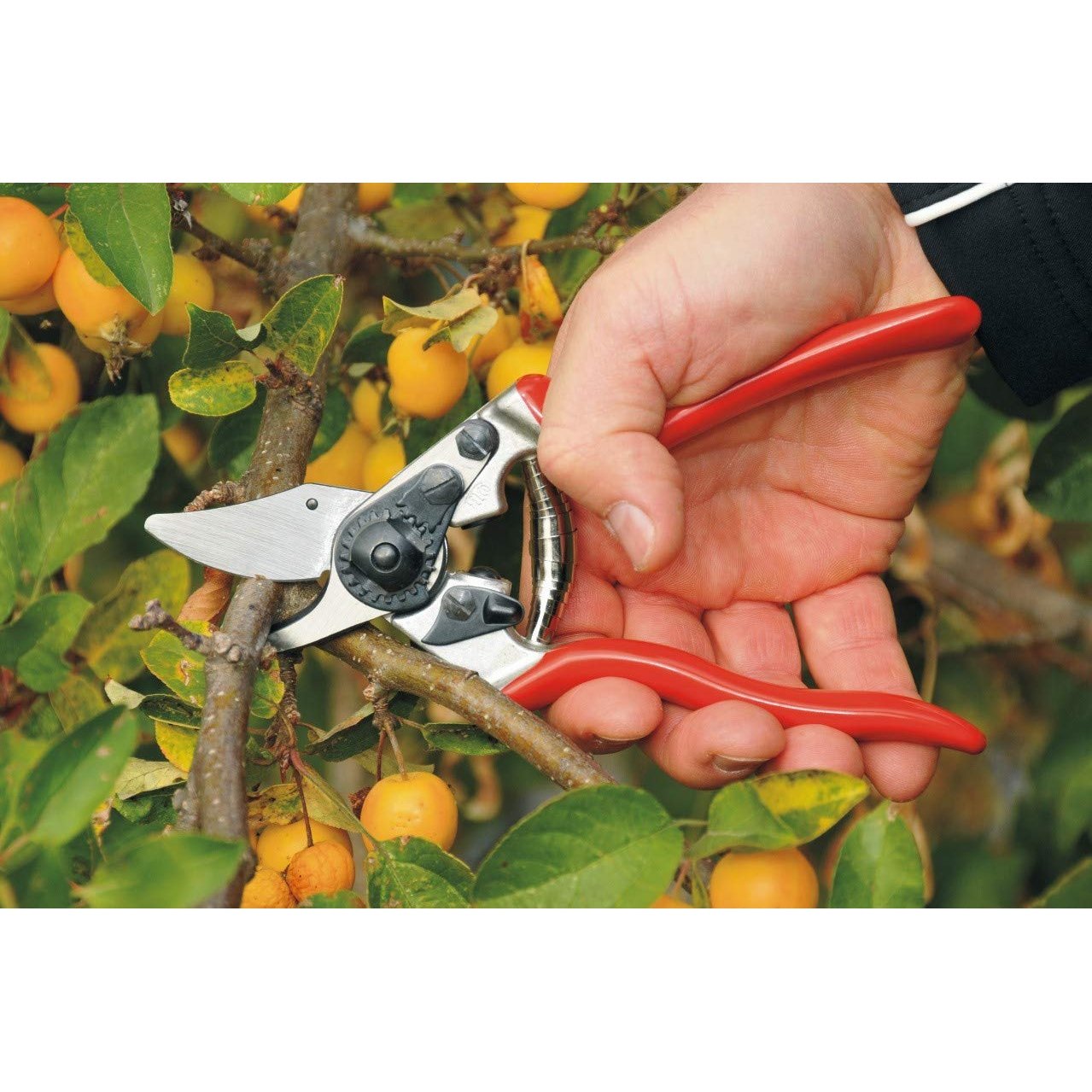 Felco 6 Ergonomic Compact Pruner