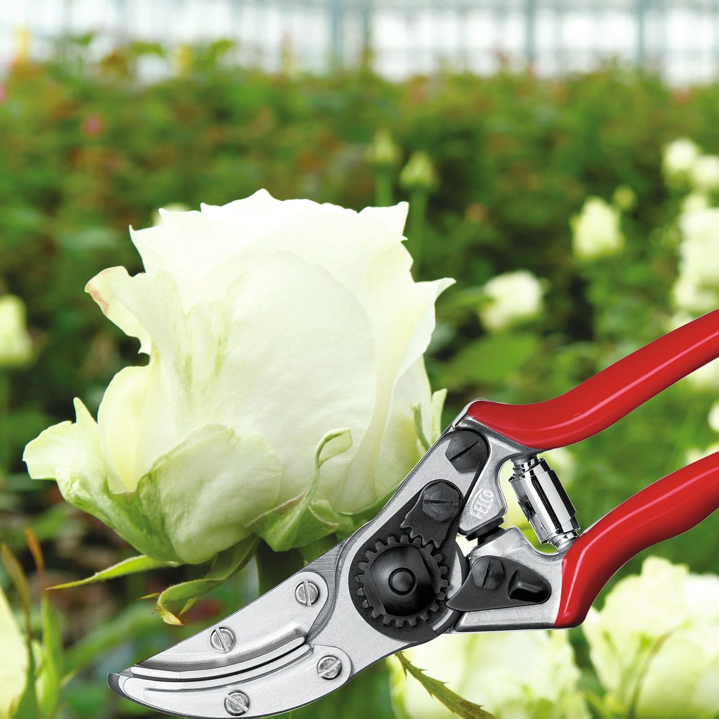 Felco 100 Cut N Hold Pruning Shear F-100