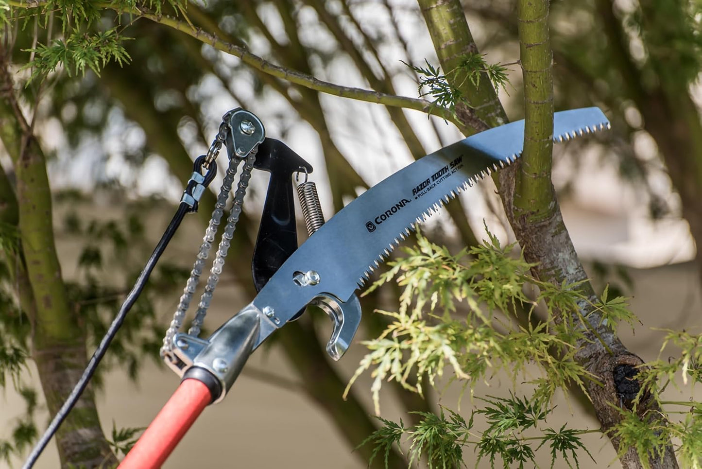 Corona Compound Action Tree Pruner - 14 ft TP 6870