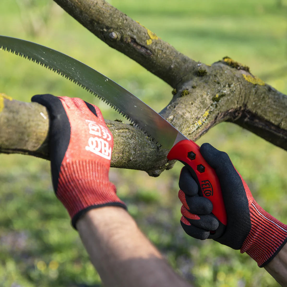 Felco Curved Pull Stroke Saw F-630