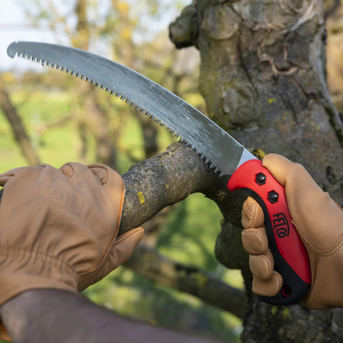Felco Curved Pull Stroke Saw F-630