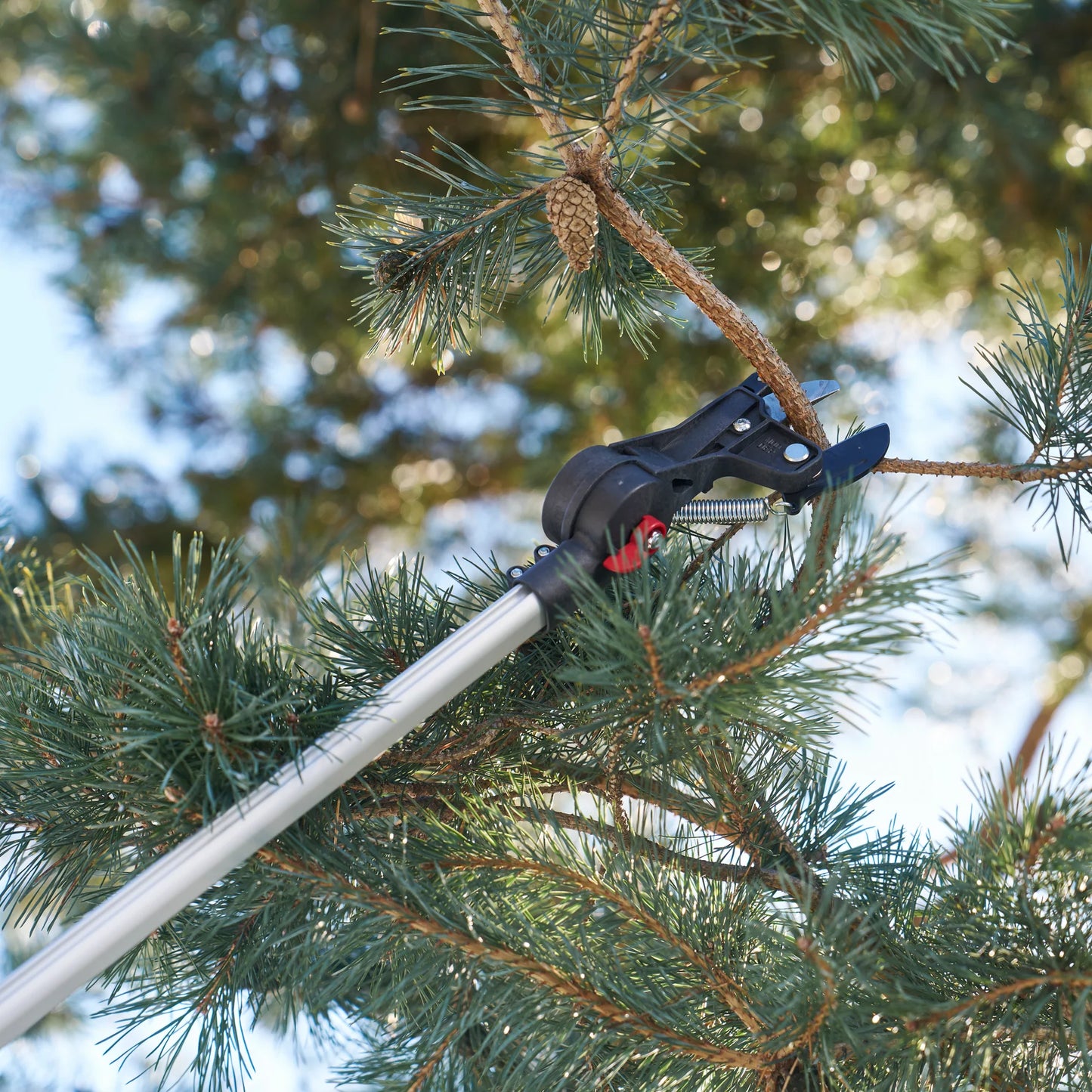 Felco 290 Pole Pruning Shears F-290 cutting branch with a durable aluminum pole and ergonomic handle.