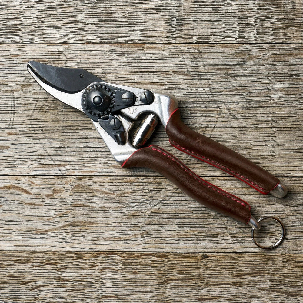 Felco 6 Elite F-6ELITE pruning shears with ergonomic leather grips and black F-Tech coating on wooden background.