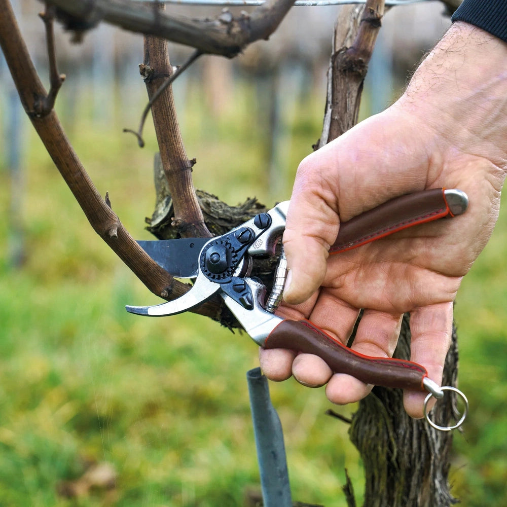 Hand using Felco 6 Elite pruner to cut a young branch in a vineyard, showcasing its ergonomic design and features.