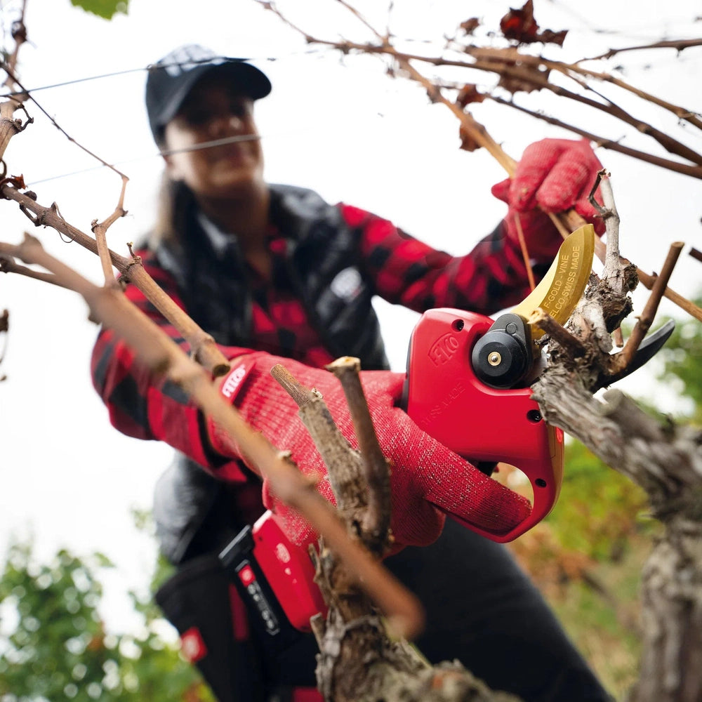 Felco 834V electric pruning shear in action, cutting vineyard branches with precision and ease.