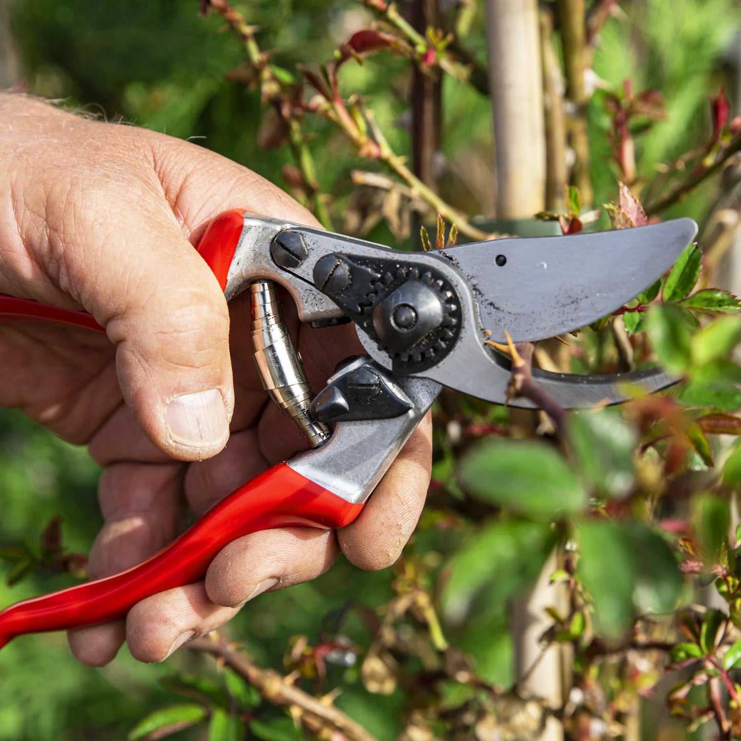 FELCO 9 Ergonomic Left‑Hand Pruner F‑9