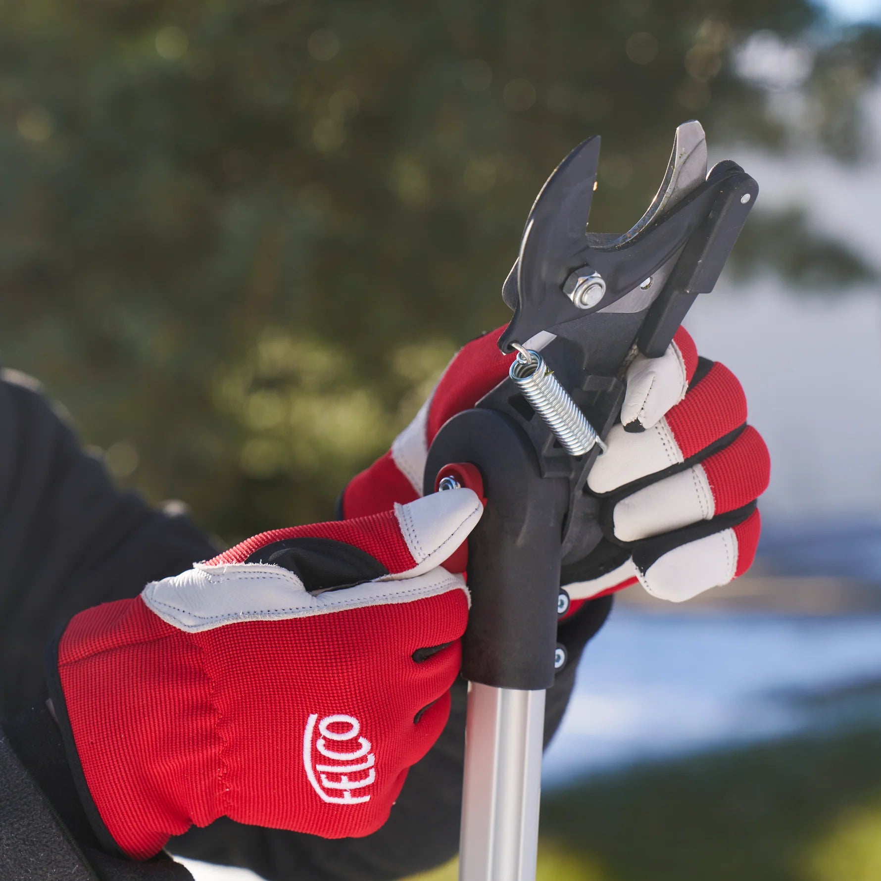 FELCO Pole Pruner 290-4M with user wearing red gloves, showcasing cutting mechanism for efficient pruning.