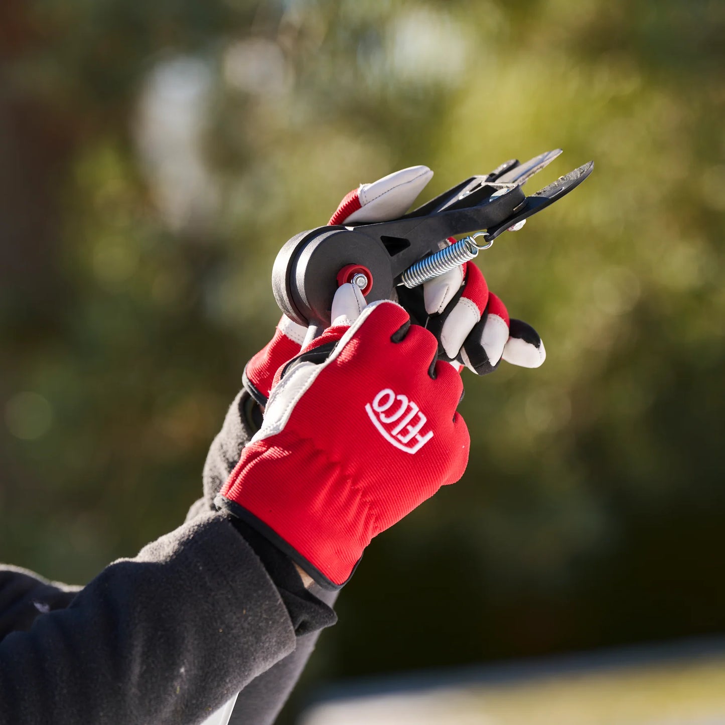 Close‑up of FELCO 290‑4M bypass cutting head for clean, precise pruning cuts.