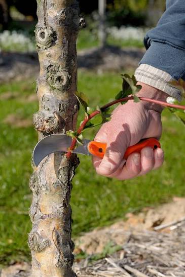 Bahco Pruning Knife P20