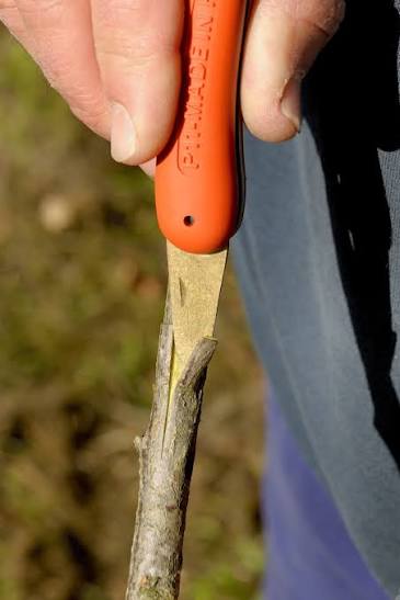Bahco Pruning Knife P11