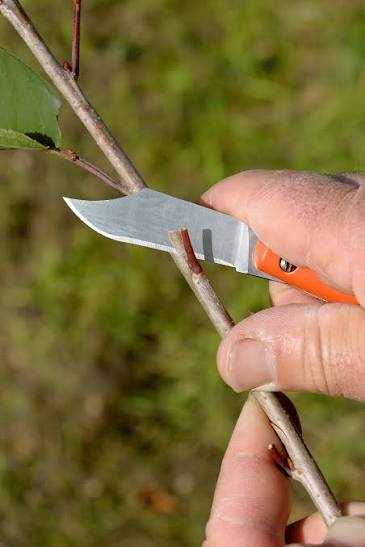 Bahco Pruning Knife P11