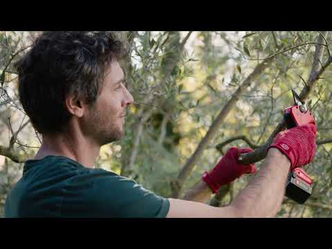 Video of a gardener using the FELCO 2e electric pruner to make clean cuts, with close‑ups of the CUT SHIELD™ safety sensor and smooth powered blade movement.